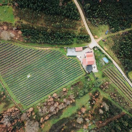 Apartamento Quinta Vale Salgueiro Seia Exterior foto
