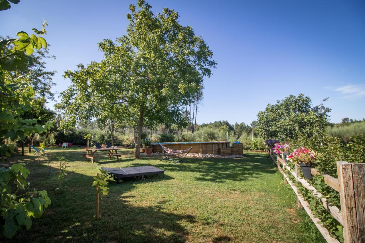 Apartamento Quinta Vale Salgueiro Seia Exterior foto